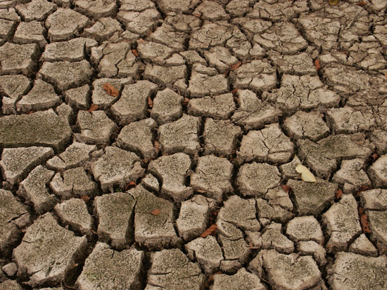 Matija Krismanich 70