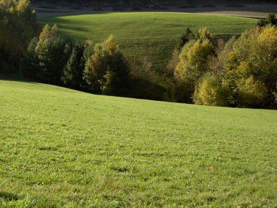 Matija Krismanich 71