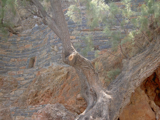 Matija Krismanich 80