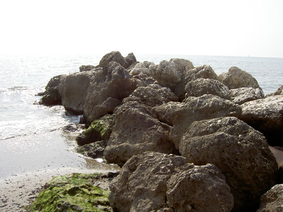 Matija Krismanich 85