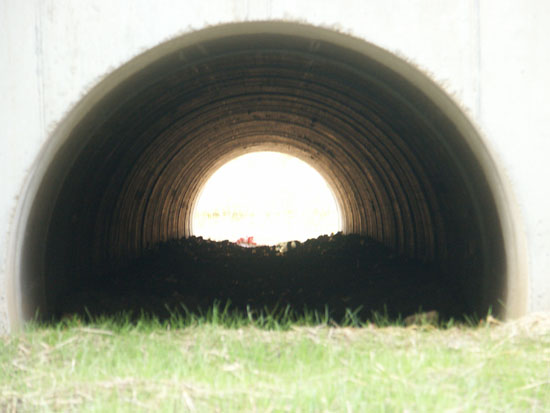 Matija Krismanich 87