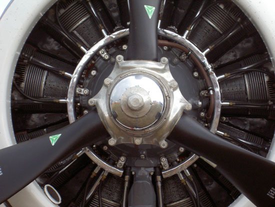 Matija Krismanich 88