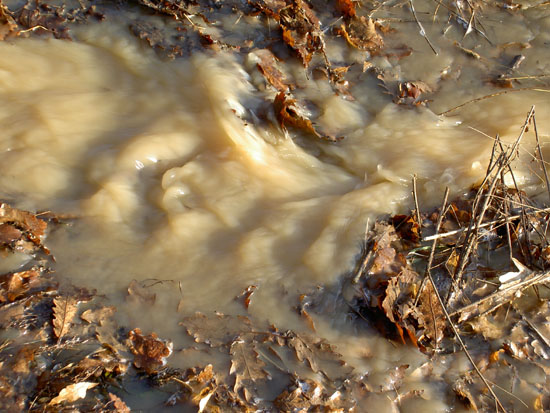 Matija Krismanich 93