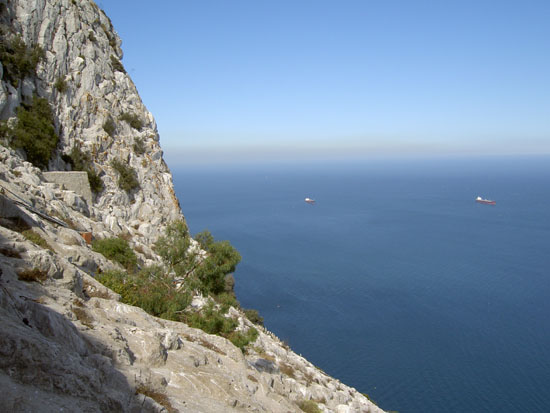 Matija Krismanich 95