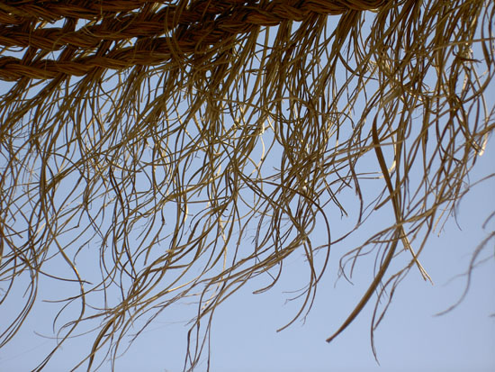 Matija Krismanich 97